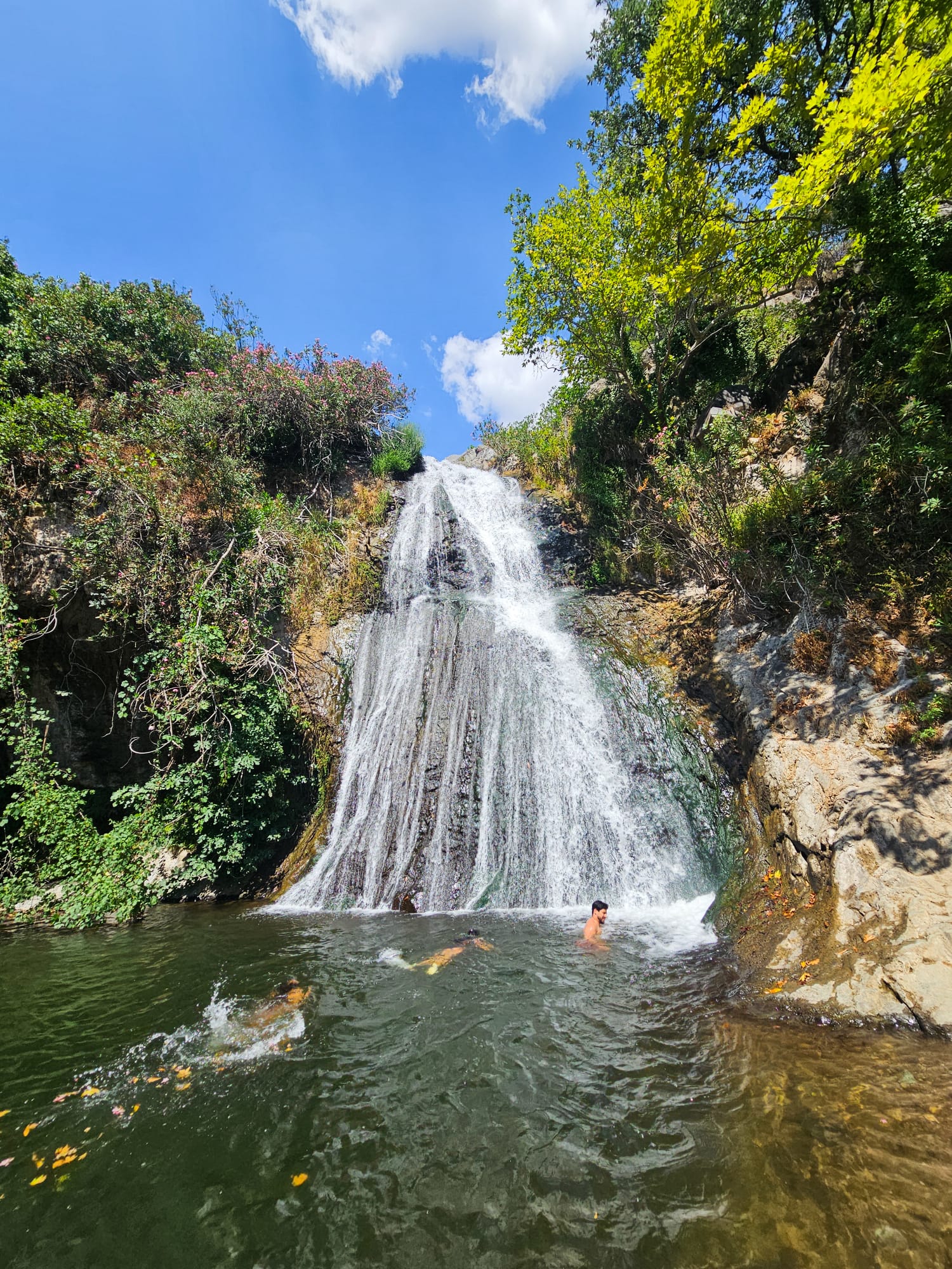 Fotoğraf