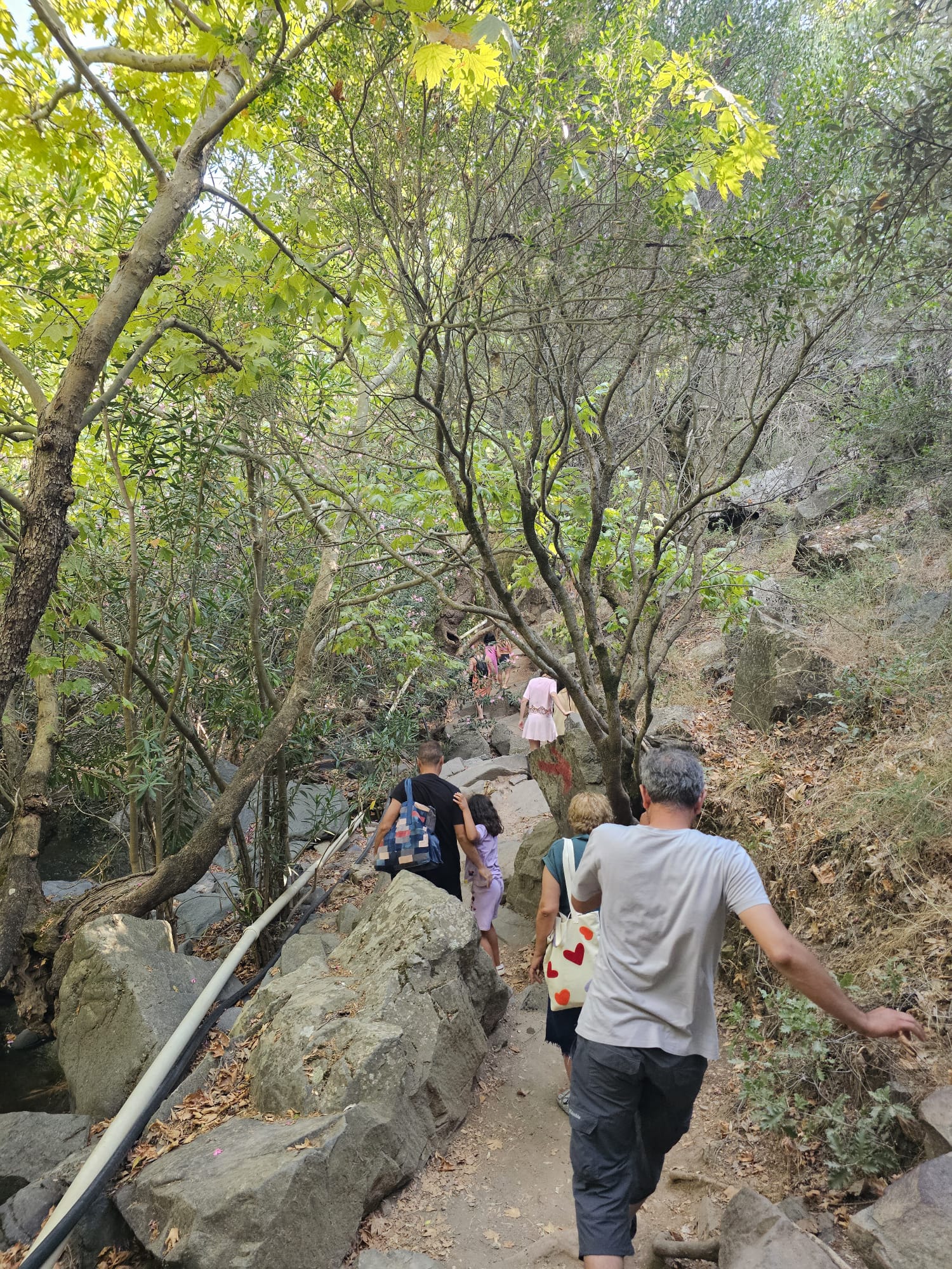 Fotoğraf